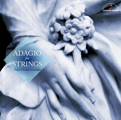 操鼻视频素材大全
